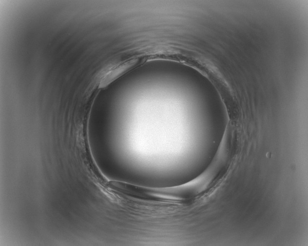 X0000067930881200604171432