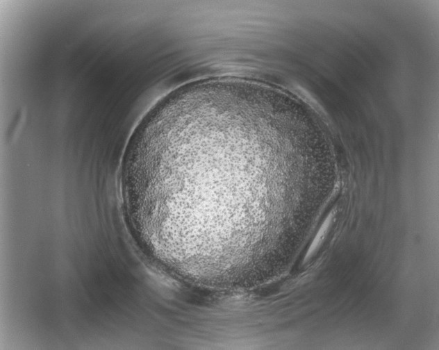 X0000067930891200604171431
