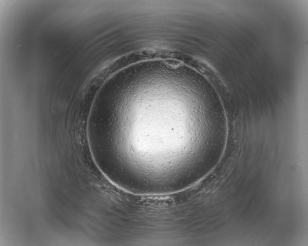 X0000067930919200604171430