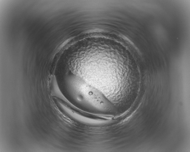 X0000067930921200604171430