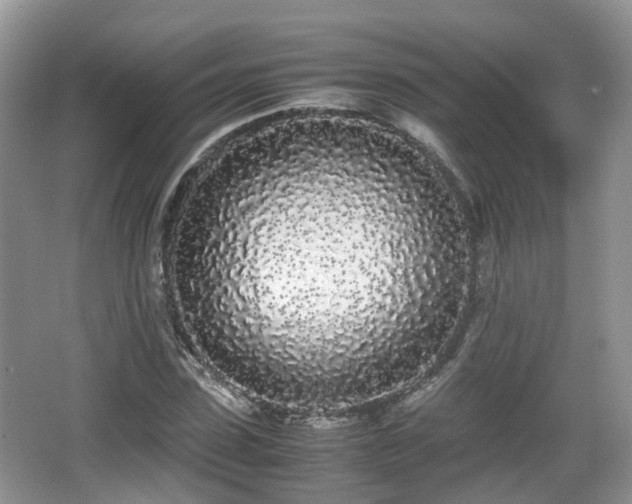 X0000067930923200604171430