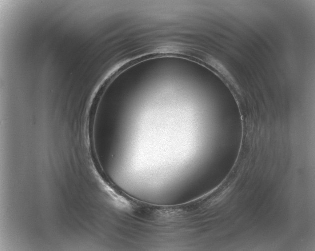 X0000067930939200604171431