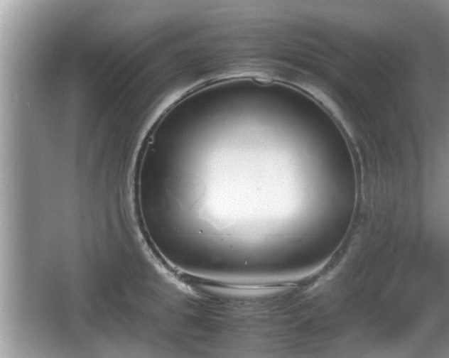 X0000067930949200604171431
