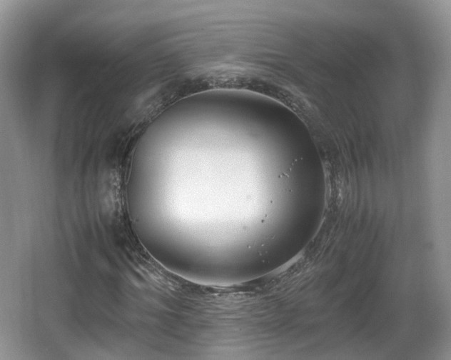 X0000067930964200604171430