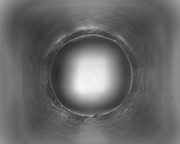 X0000067930967200604171430