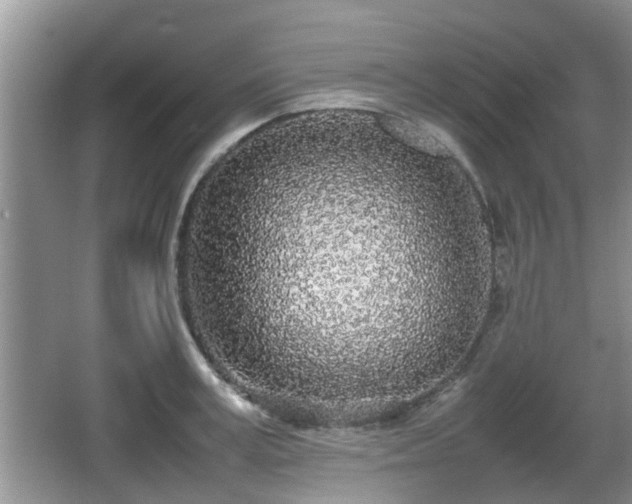 X0000067930995200604171430