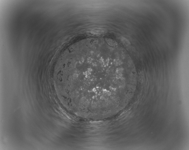 X0000067931009200604171429