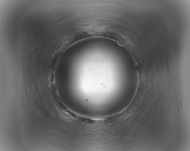 X0000067931012200604171429