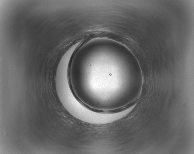 X0000067931014200604171429