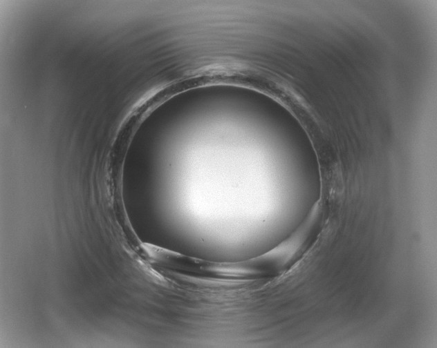 X0000067931018200604171429