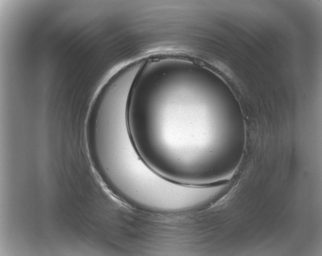 X0000067931030200604171429