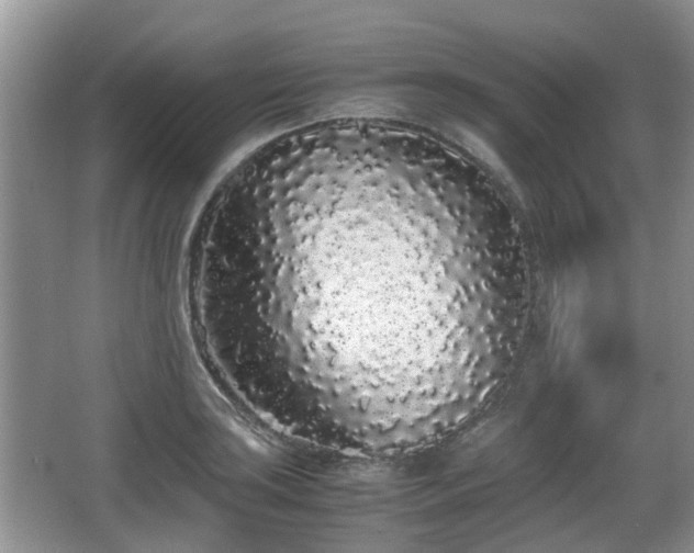 X0000067931035200604171429
