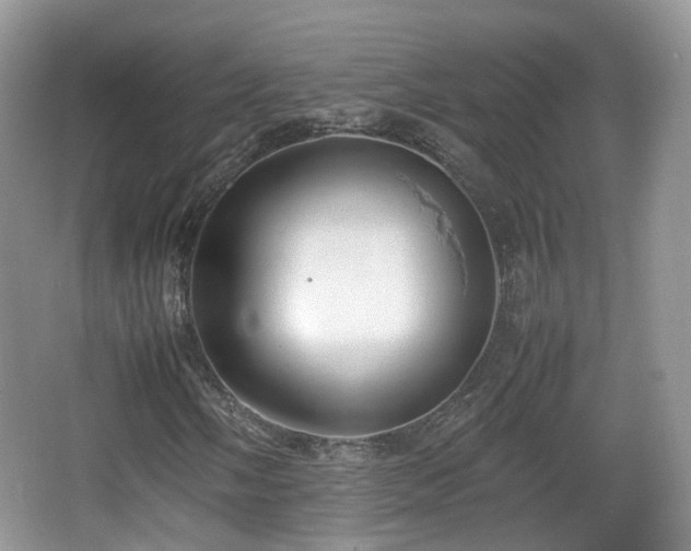X0000067931058200604171429
