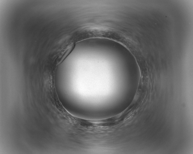 X0000067931061200604171429