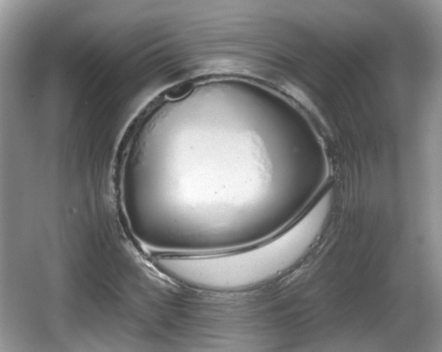 X0000067931068200604171428