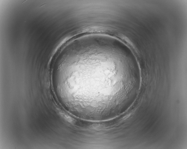 X0000067931075200604171428