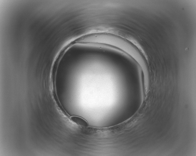 X0000067931080200604171428