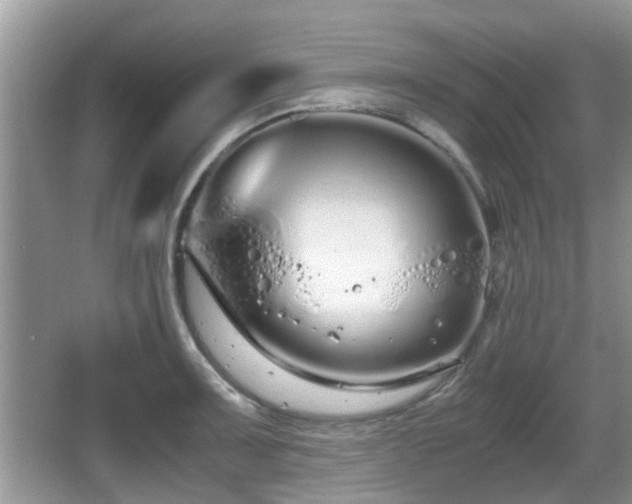 X0000067931091200604171428