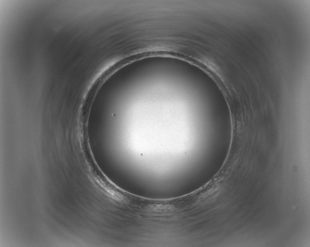 X0000067931119200604171427