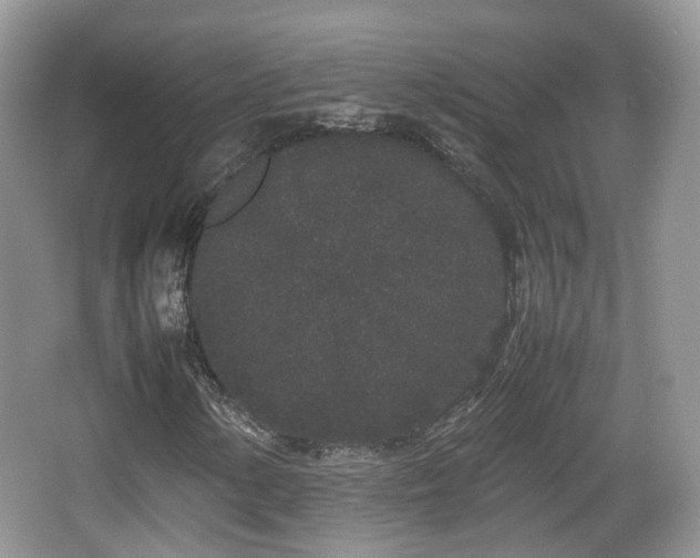 X0000067931154200604171427