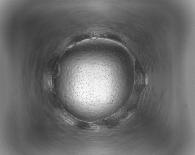 X0000067931155200604171427