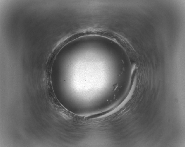 X0000067931160200604171427