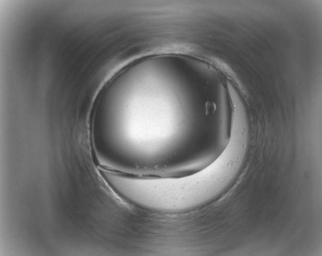 X0000067931184200604171426
