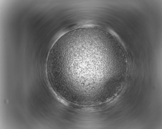 X0000067931194200604171426
