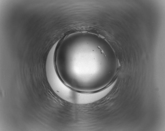 X0000067931202200604171425