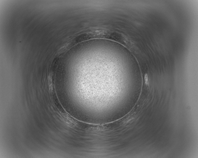 X0000067931203200604171425