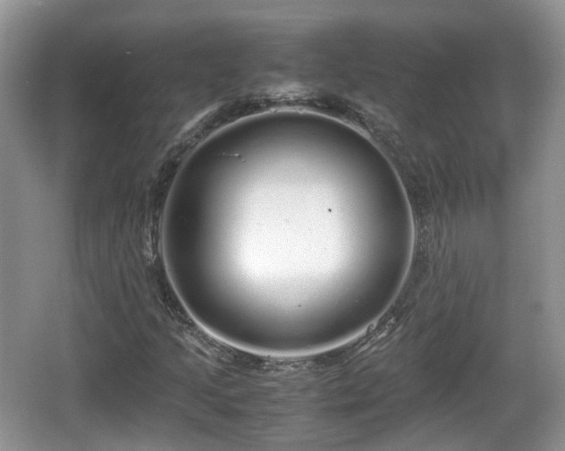 X0000067931205200604171425