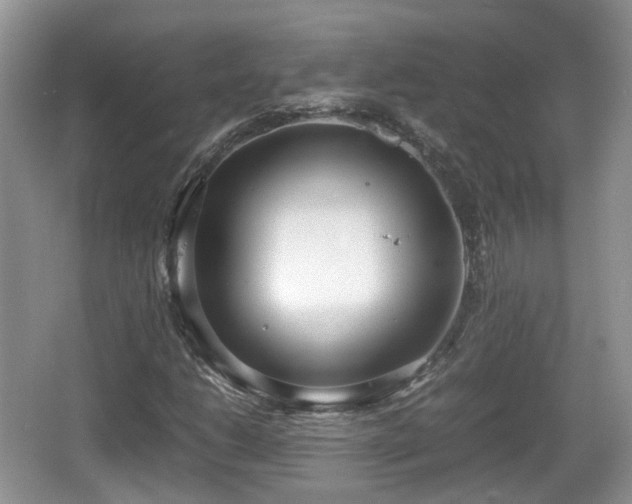 X0000067931206200604171425