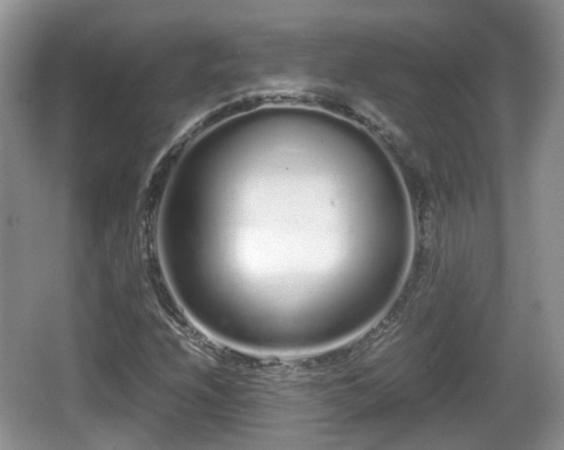 X0000067931208200604171426