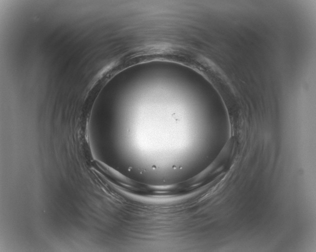 X0000067931210200604171426