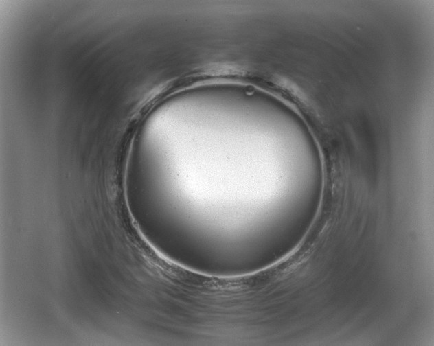 X0000067931213200604171426