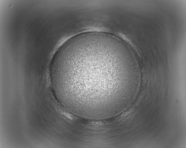 X0000067931215200604171426