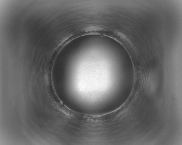 X0000067931217200604171426