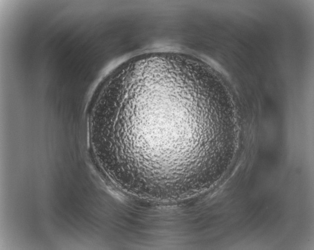 X0000067931223200604171426