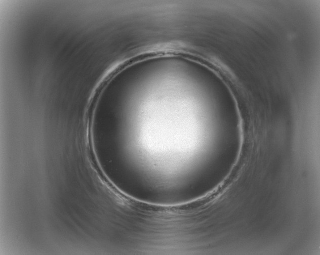 X0000067931224200604171426