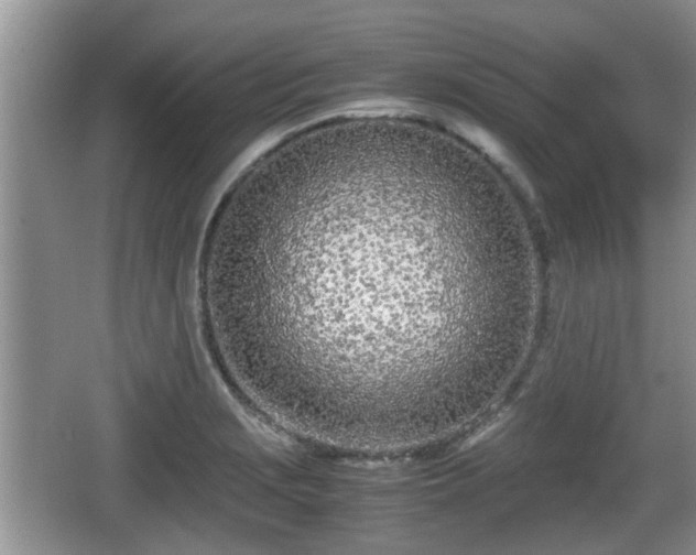 X0000067931229200604171426
