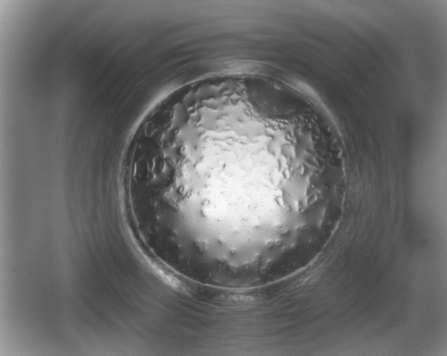 X0000067931235200604171426