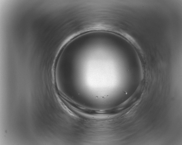 X0000067931238200604171426