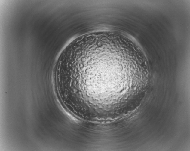 X0000067931243200604171426