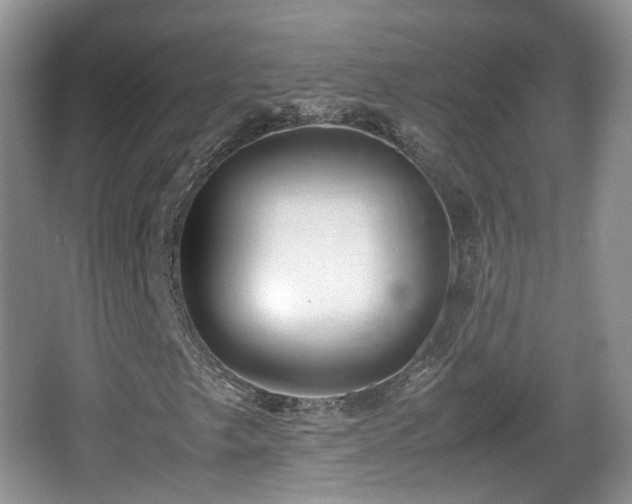 X0000067931249200604171425