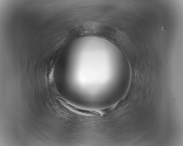 X0000067931250200604171425