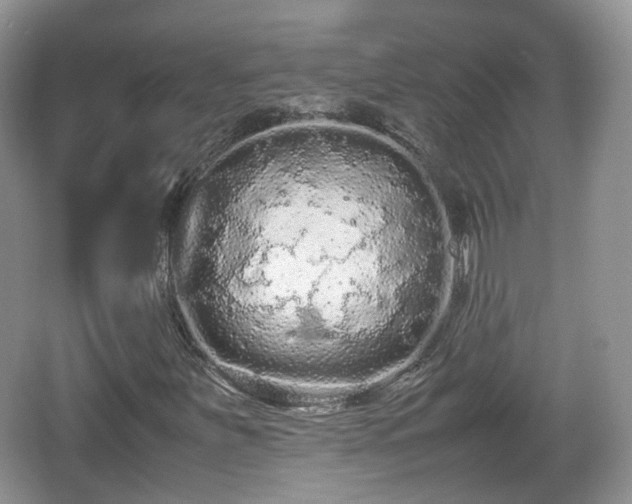 X0000067931251200604171425