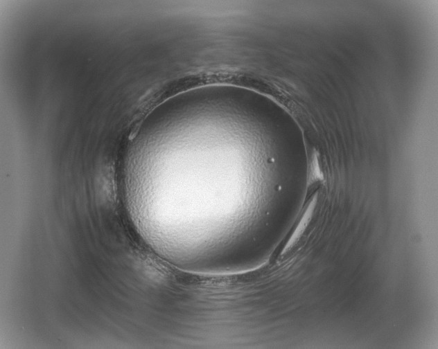 X0000067931252200604171425