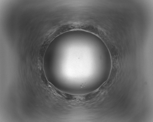 X0000067931253200604171425