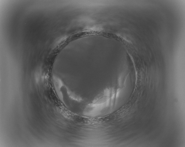 X0000067931254200604171425