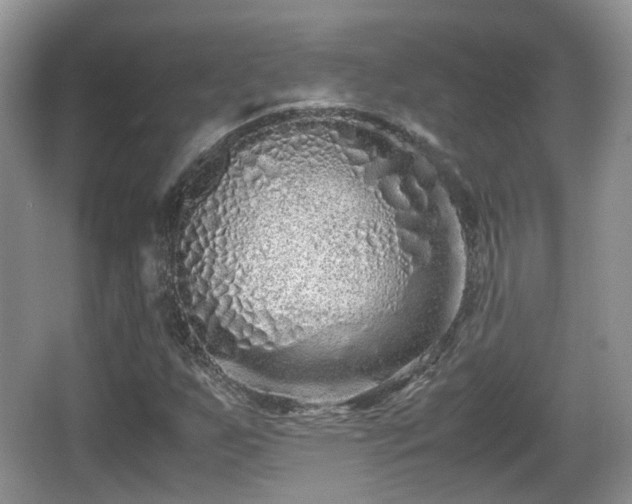 X0000067931255200604171425